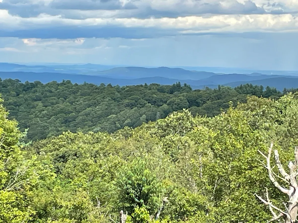 A sweeping view over a dense green forest with distant mountains framed under a cloudy sky. The scene captures the serenity and wild beauty of the High Country, hinting at both active pursuits and tranquil moments in nature.